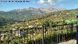 Plaza de los Jilgueros. Mirador