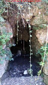 Fuente de la Cueva. 