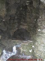 Fuente de la Cueva. 