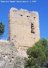 Torre de Gontar. Extramuros