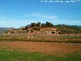 Cortijo del Cerrillo. 