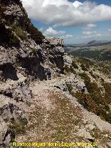 Camino de herradura de Pinar Negro. 