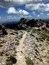 Camino de herradura de Pinar Negro. 