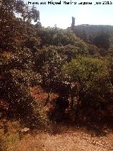 Mina San Juan. Vista de la chimenea desde el pozo