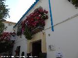 Casa de la Calle San Juan de Palomares n 8. Fachada