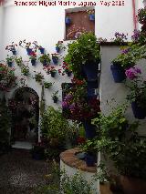 Casa de la Calle Alvar Rodrguez n 11. Patio