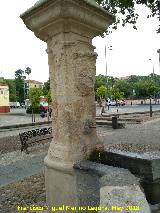 Fuente de la Plaza del Cristo de Gracia. Cao norte