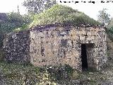 Caracol de la Ponderosa. 