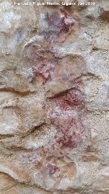 Pinturas rupestres de la Cueva de los Molinos. Pinturas de la pared izquierda