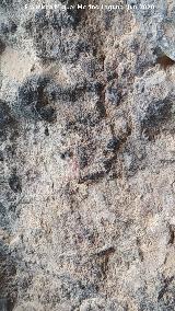 Pinturas rupestres de la Cueva de los Molinos. Pinturas de la pared izquierda