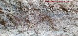 Pinturas rupestres de la Cueva de los Molinos. Figura in�dita de la izquierda