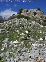 Muralla del Cerro Veleta. Bastin