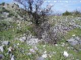 Muralla del Cerro Veleta. Bastin