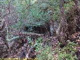 Cueva del Agrin. 