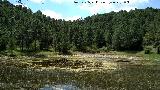 Laguna de Orcera. 