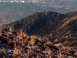 Cerro del Caballo. Desde la ladera del Rayal