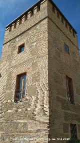 Castillo-Palacio de los Condes de Sstago. 