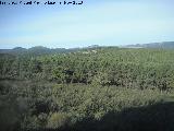 Batalla de las Navas de Tolosa. Cerro de los Olivares donde plant su tienda roja Al-Nasir