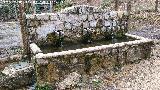 Fuente del Oso. 