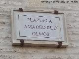 Plazuela Amadeo Ruiz Olmos. Placa