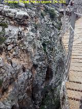 Desfiladero del Gaitanejo. Tramo del Puente del Rey