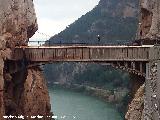 Puente de los Gaitanes. 