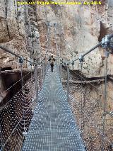 Puente Colgante de los Gaitanes. 