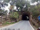 Tnel del Mirador. 