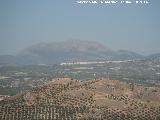 Mancha Real. Desde el Cerro de las Canteras