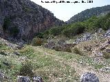Puente de Otiar. 