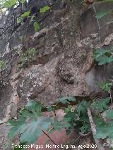 Puente Mocho. Relieve y len procedentes de Cstulo en la parte de Ibros