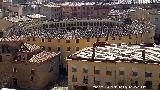 Plaza de Toros Vieja. Desde la Plaza Palacio
