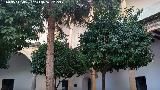 Hospital de Santiago. Patios Laterales. 