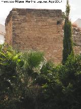 Torren de Saludeja I. Desde las huertas de la Saludeja