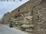 Muralla de Sabiote. Muralla Sur