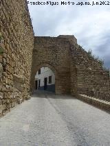 Puerta de Granada. 