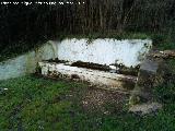 Fuente del Sotillo. 