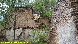 Aldea Casicas del Ro Segura. Casas en ruinas en su antigua ubicacin