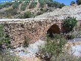 Puente romano del Montizn. 