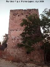 Castillo de Aldehuela. 