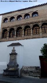 Fuente de la Calle San Fernando. 