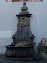 Fuente de la Calle San Fernando. 