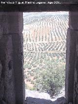 Torre Olvidada. Puerta de entrada con el hueco de la tranca