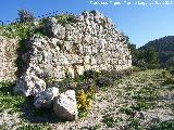 Oppidum del Cerro Miguelico. Muralla ciclopea