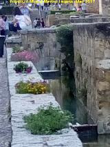 Puente I de la Calle Cairun. 