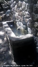 Fuente de Huerta Vieja. 