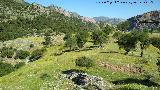 La Corona. Meseta