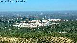 Torredonjimeno. Desde el Cerro Miguelico