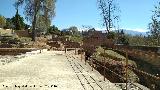 Alhambra. Palacio de los Abencerrajes. 