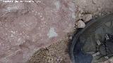 Yacimiento de fsiles de los Tajos del Buitre. 